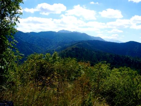 Explore the Carpathian Mountains