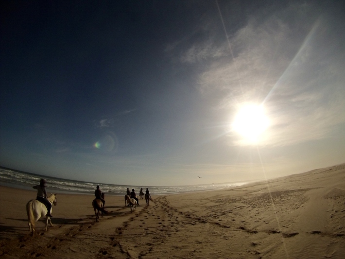 Volunteers enjoy hores riding on the beach in South Africa on the Garden Route Trip