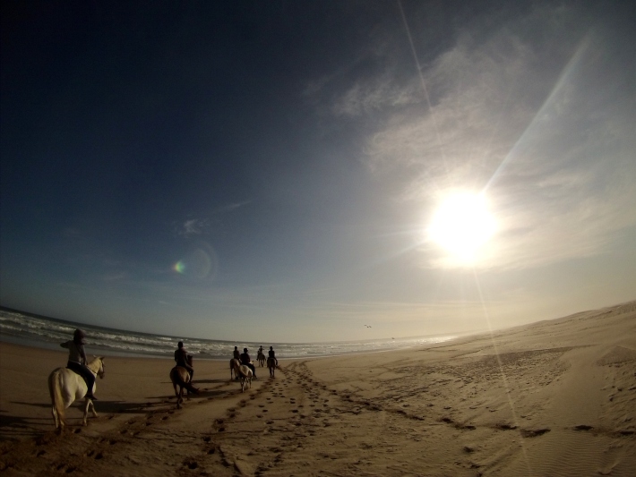 Volunteers enjoy hores riding on the beach in South Africa on the Garden Route Trip