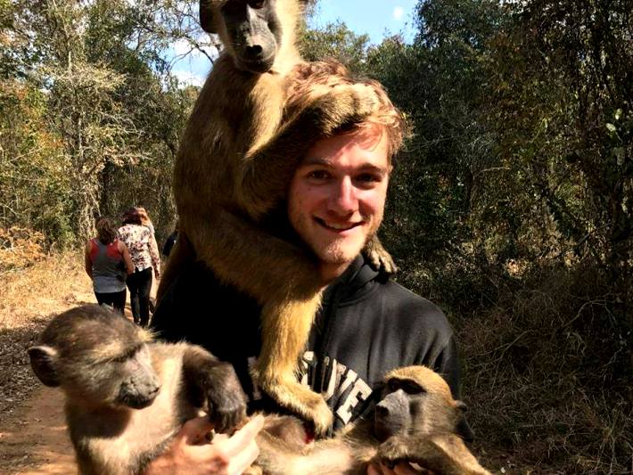 A volunteer cares for monkeys in South Africa