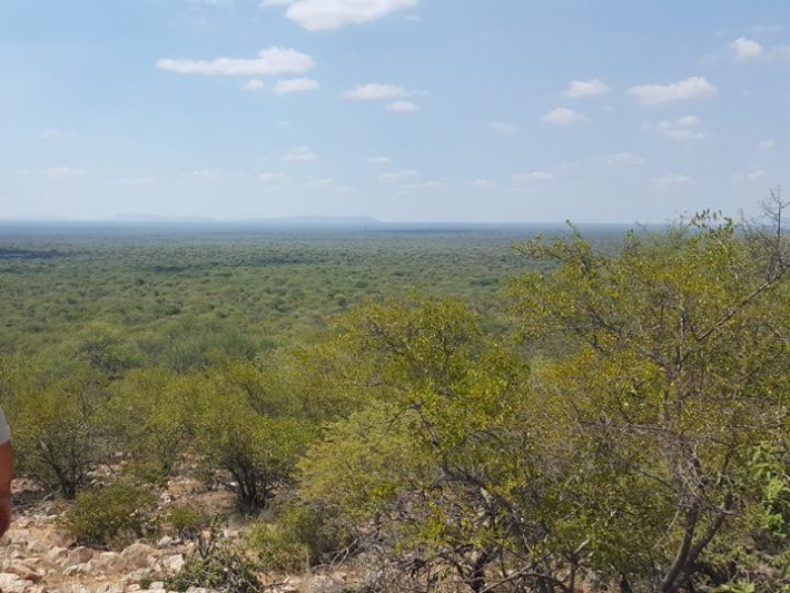 Primate release site in 2018