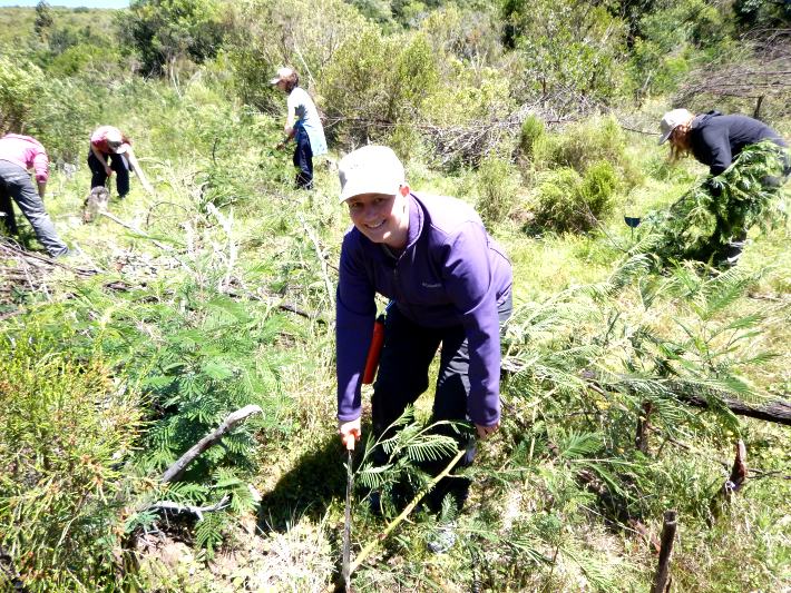 Safari volunteer helps with conservation