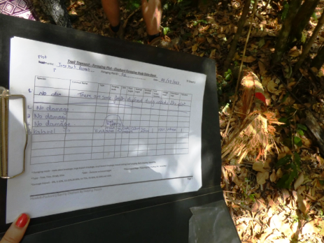 Fieldnotes taken when volunteering with elephants in Sri Lanka