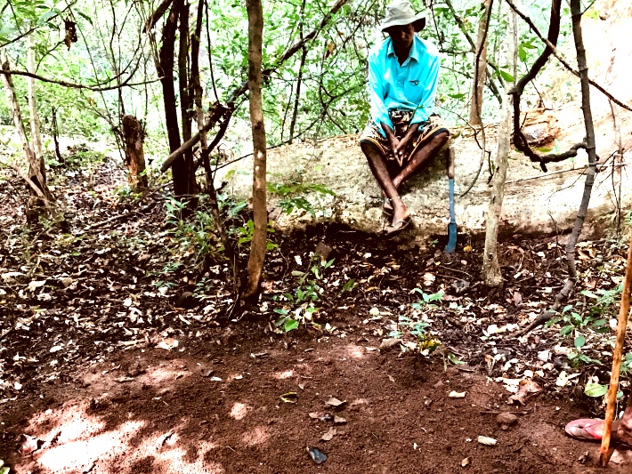 A local looks on over the sand pits that volunteers have made in forested areas in Sri Lanka. The pits are created so that you can identify which animals have passed through the area based on their footprints and droppings.