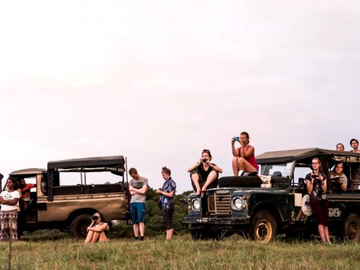 Volunteers in Sri Lanka watch wild elephants