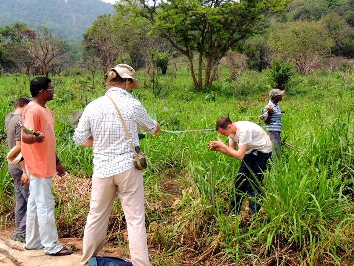 Volunteers create a monitoring area to understand more about elephant behaviour