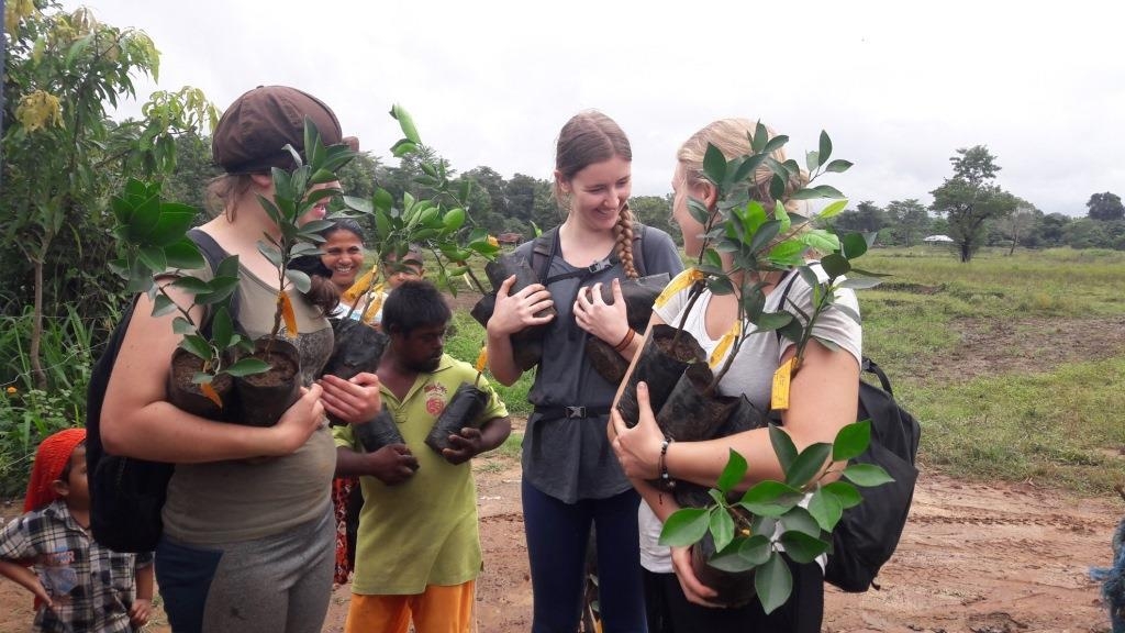 Participants on our Sri Lanka volunteer programme help to carry new orange trees to the fields for planting. These oranges will become a significant part of the village's economy, and protection from the elephants