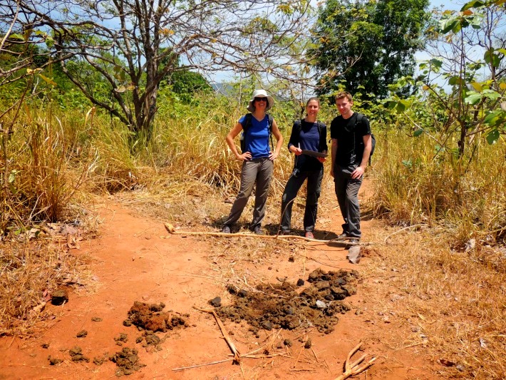 Volunteers in Sri Lanka analyse elephant poo in conservation initiative