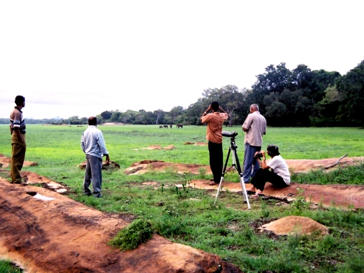 Volunteers monitor wild elephants in Sri Lanka