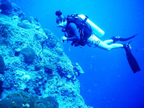 Scuba diver analyzing coral in Thailand