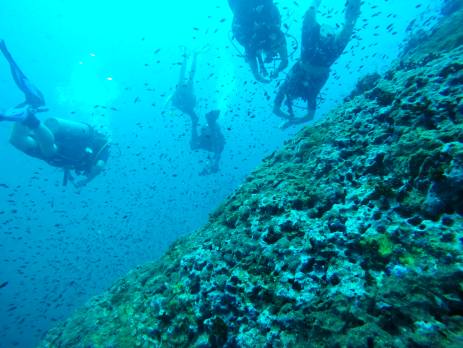 Scuba divers near coral in Thailand