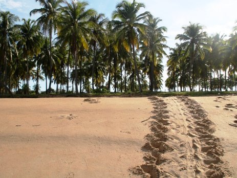 thailand beach footprints in the sand