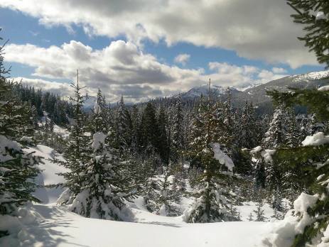 picturesque view of the Callaghan valley near whistler