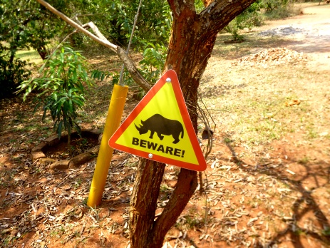 Sign showing you to watch out for wandering rhinos