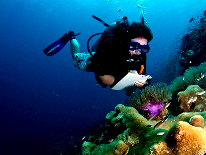 On this amazing conservation initiative in Thailand, volunteers are helping to preserve the coral reefs