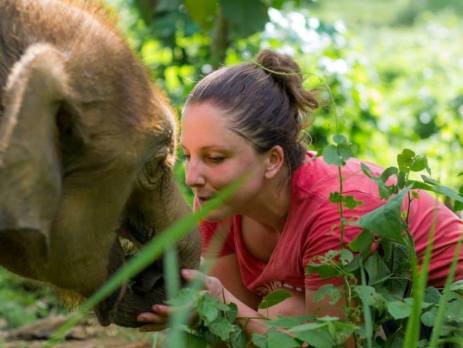 Meet elephants on your family holiday with a difference