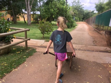 child-volunteering-at-the-Oyster-Worldwide-south-africa-monkey-family volunteering-project.-pushing-wheelbarrow.