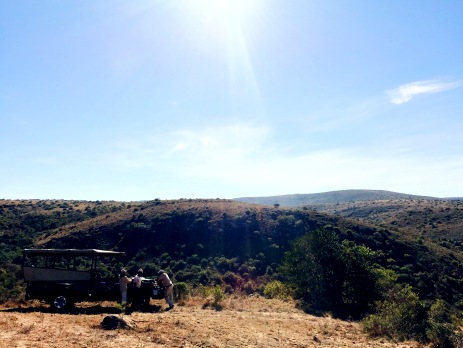 Game rangers and participants enjoy the review over a Big 5 game reserve in South Africa