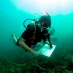 Volunteer marine conservation