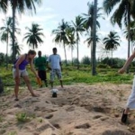 Measuring turtle tracks Thailand