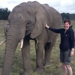 South Africa Elephants