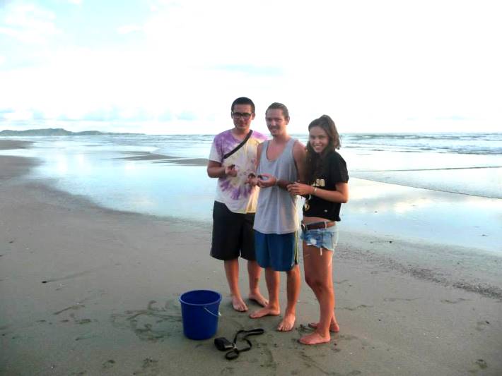 Volunteers in Costa Rica help with releasing baby turtles