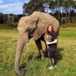 A volunteer enjoys meeting and working with the elephants in South Africa