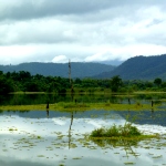 A view over the lake that surrounds the elephant sanctuary in Laos