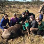 Interns work with wildlife in South Africa