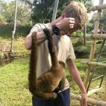 Volunteering at the wildlife sanctuary in Ecuador meets a monkey