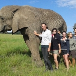 Elephant research South Africa