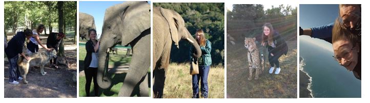 Elephant conservation