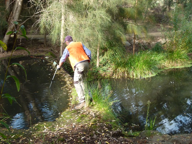 Clearing waterways