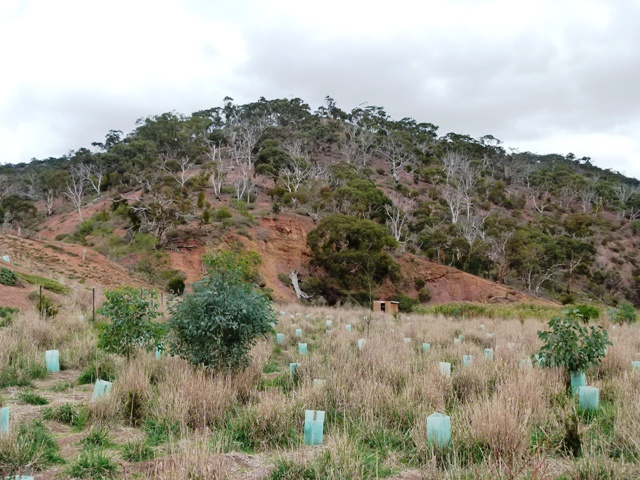 Conservation in Australia