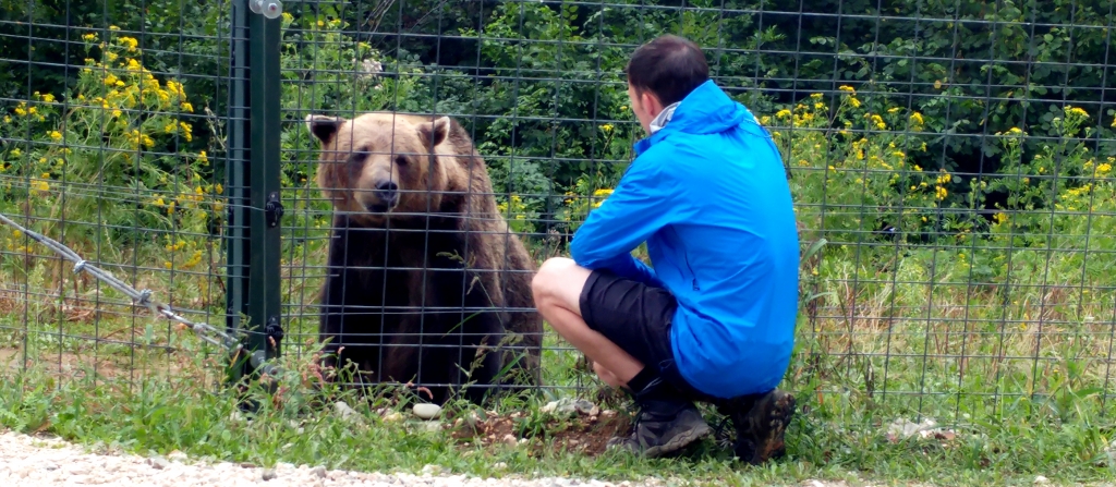 Volunteer with bears