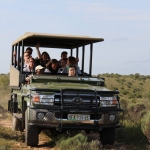 Game drive