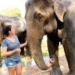 Elephant sanctuary volunteering in Thailand Elephant sanctuary volunteering in Thailand