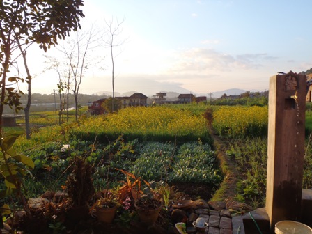 View over the field and tap from my host family house in 2011