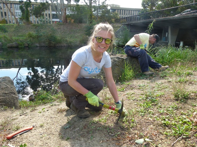 Hard at work clearing invasives