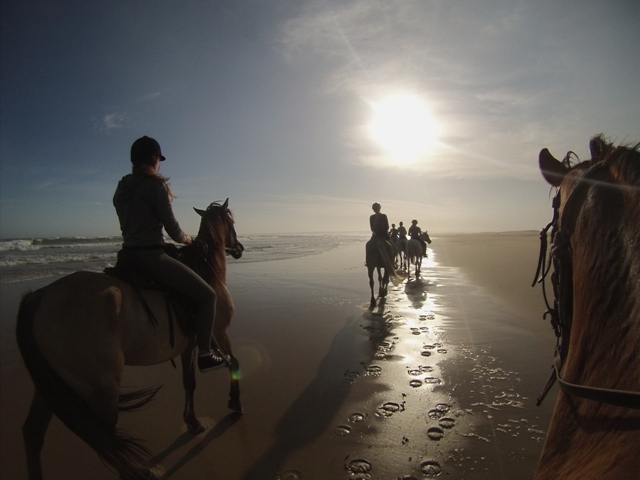 Horse riding in South Africa