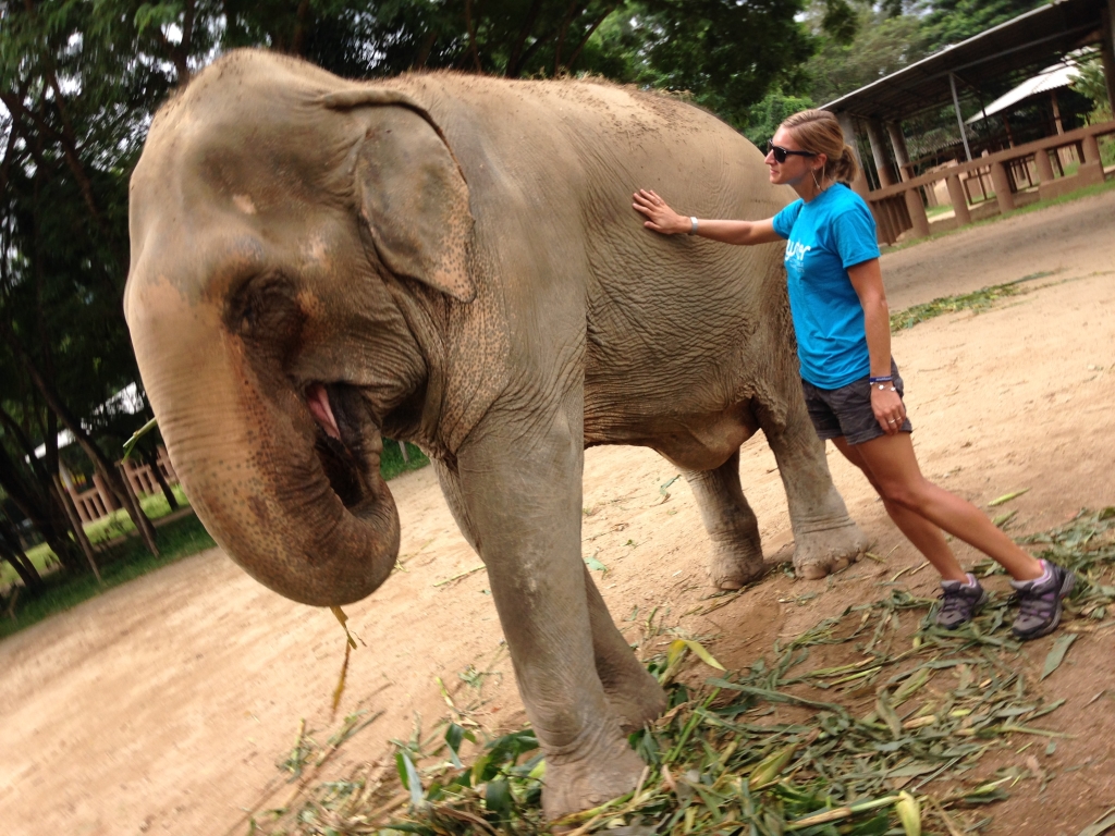 Elephant tourism near Chiang Mai