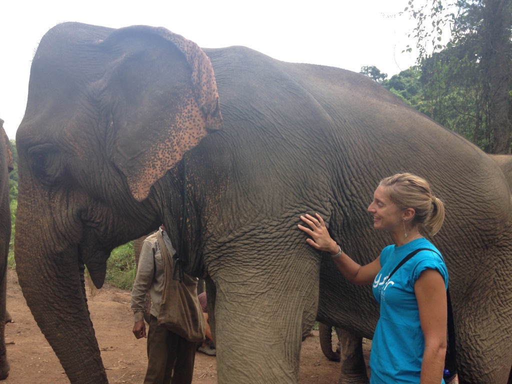 Volunteer in Laos with elephants