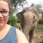 Walking the elephants at the elephant sanctuary in Thailand