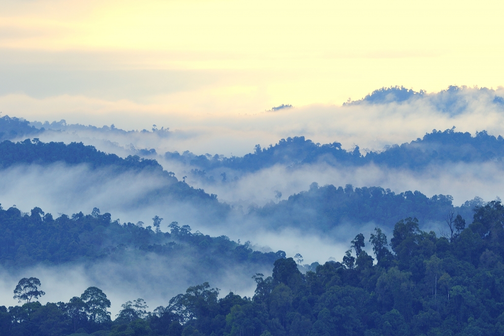 Beautiful Malaysia 