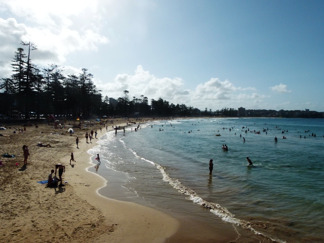 Manly beach view