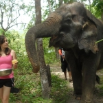 Volunteering with wildlife in Thailand