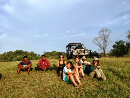 Monitoring elephants