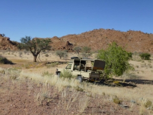 Tracking wild elephants in Namibia