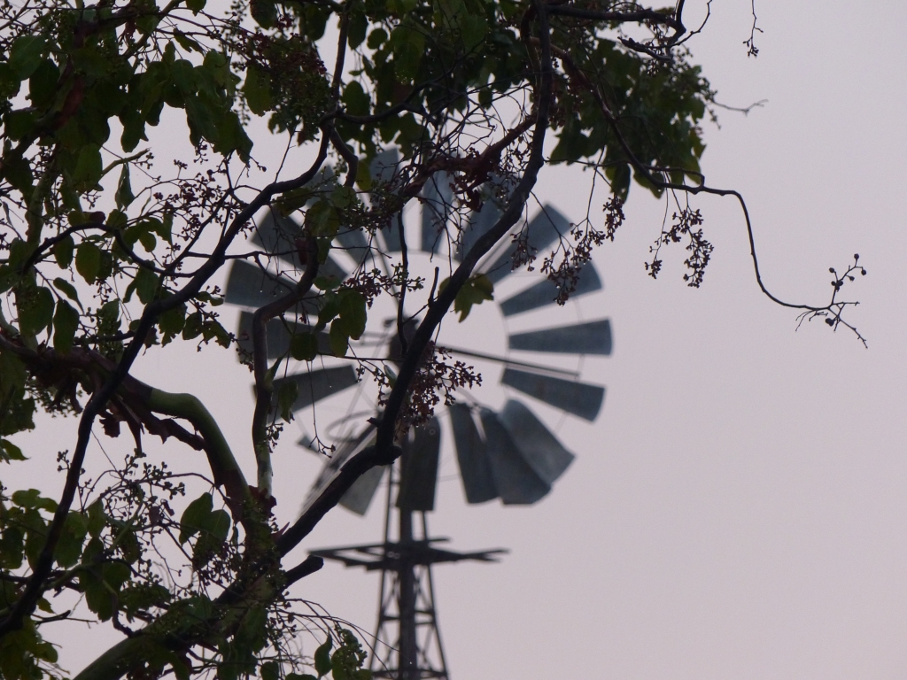 Windmill in Australia 