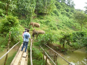 Volunteering in Laos